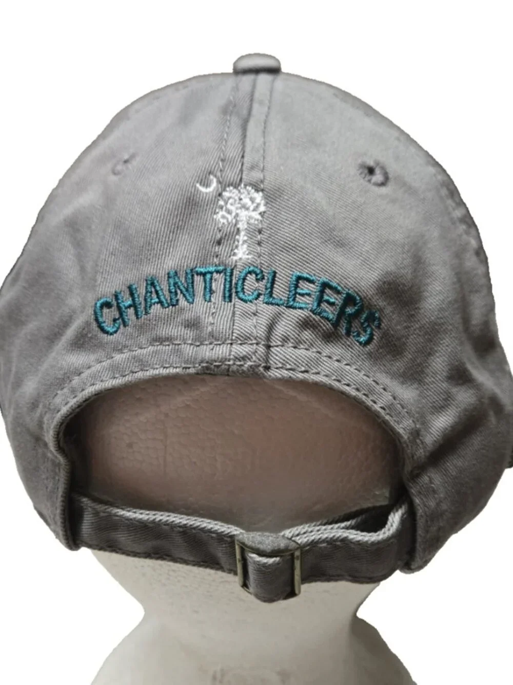 Coastal Carolina Chanticleers CCU Hat Legacy Baseball Cap Strapback Embroidered